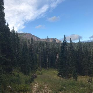 Profile Picture of Nick Rebar (@nick.rebar.3) on Facebook