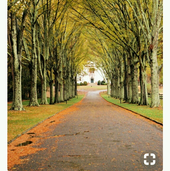 Profile Picture of Amy Boatfield (@amyk0186) on Poshmark