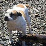 Profile Picture of Stacy Lowery (@lowerystacy) on Instagram