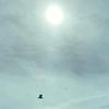 Profile Picture of Casey Herbert (@@caseyherbert0) on Tiktok