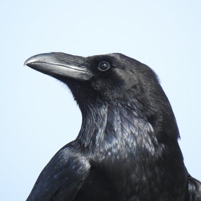 Profile Picture of Matt Ames (@MattAmes6) on Twitter