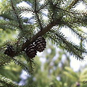 Profile Picture of Matt Kimball (@mattkimball6128) on Youtube