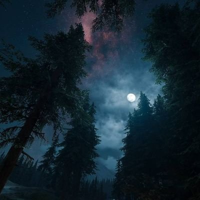 Profile Picture of Carlos Sepùlveda (@carlo_bertoOMFG) on Twitter