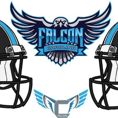 Profile Photo of Carolina Falcons (@CarolinaFalcons) on Twitter