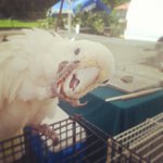 Profile Picture of Jean Tidwell (@carabsonf) on Instagram