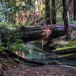 David Marrocco - Instagram Profile Picture of David Marrocco (@djmarroc) on Instagram