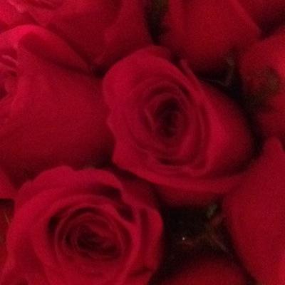 Profile Picture of Jay Evens (@evens_jay) on Twitter