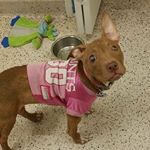 Noel Thorner - Instagram Profile Picture of Noel Thorner (@noeljustice) on Instagram