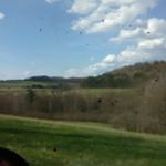 Profile Picture of Allen Gingerich (@allen.gingerich.3) on Instagram