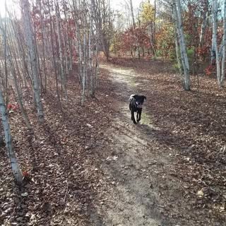 Profile Picture of Joy Truitt (@truittjoy) on Instagram