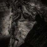 Profile Picture of David. Harms (@david.harms5) on Instagram