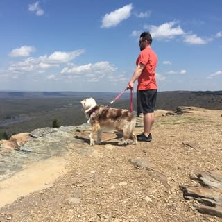 Profile Picture of joshua_spicer (@joshua_spicer) on Instagram