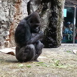 Profile Picture of SHAWN KACZMAREK (@skaczmarek102) on Twitter