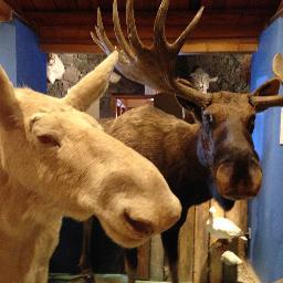 Profile Picture of Peter Hettinga (@petehettinga) on Twitter