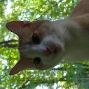 Profile Picture of Hailey Malone (@haileymalone4062) on Youtube