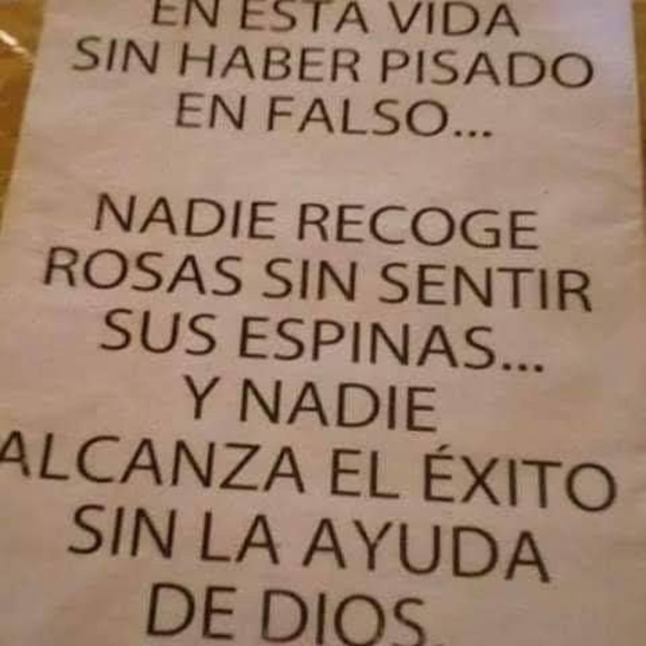 Profile Picture of Jesus Miranda (@jesusmiranda807) on Poshmark