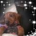 Profile Picture of David Bachmann (@david.bachmann.963) on Facebook