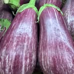 Profile Picture of Andrew Mond (@Andrew-Mond) on Facebook