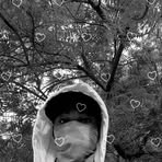 Profile Picture of Dan Kasa (@Dan-Kasa) on Facebook