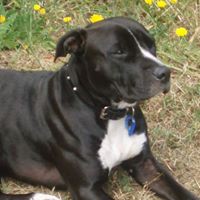 Profile Picture of Reg Mac Gille Eoin (@reg-mac-gille-eoin) on Quora