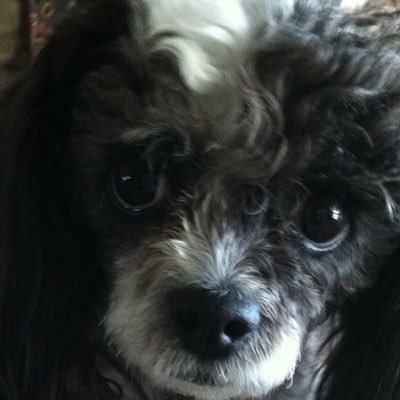 Profile Picture of Robert Pendleton (@robert_rdp7744) on Twitter