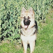 Profile Picture of Aidanjohn11 Aidan McCormack (@aidanjohn11aidanmccormack23) on Youtube