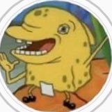 Profile Picture of __steezy_memes__ (@adam_cortinas) on Twitter