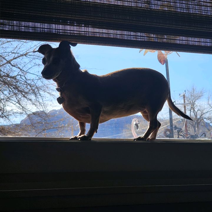 Profile Picture of Jerry Wil (@jerrywil0) on Tiktok