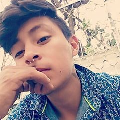 Profile Picture of Daniel D Ayala (@@danieldayala) on Tiktok
