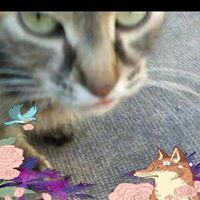 Profile Picture of Ivan Jurić Orlic (@ijuriorlic) on Pinterest