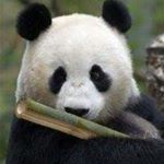 Profile Picture of Glenn Bartz (@glennbartz) on Instagram