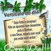 Profile Picture of Flavia Paula (@flavia.paula.96780) on Facebook