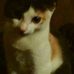 Profile Picture of Brian Edwards (@Brian.Edawards.1031) on Facebook