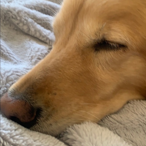 Profile Picture of Leia Winzeler (@leiawinz) on Poshmark