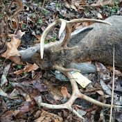 Profile Picture of Paul Glasgow (@paulglasgow2771) on Youtube