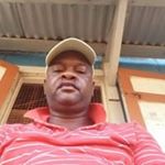 Profile Picture of Joseph Mingo (@mingo.joseph) on Instagram