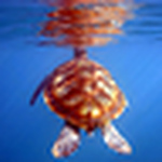 Profile Picture of Aidan O Sullivan (@aos images) on Flickr