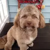 Profile Picture of k (@realkevin16) on Tiktok