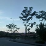 Silvia Haro - Instagram Profile Picture of Silvia Haro (@silvia_haro20) on Instagram