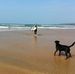 Profile Picture of Andrew Davies (@andrew.davies.1422) on Facebook