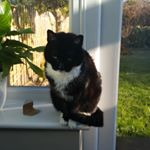 Profile Picture of Andrew Balmforth (@balmfortha) on Instagram