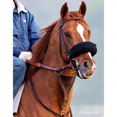 Profile Picture of Dan Hendricks (@CZ2CRF) on Twitter