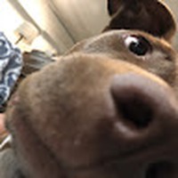 Profile Picture of Chris Pellegrin (@chris-pellegrin-6) on Quora