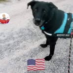 Profile Picture of Cyndee Tolbert (@Cyndee-Tolbert) on Facebook