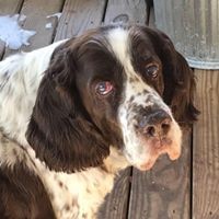 Profile Picture of Nancy Stewart (@nancy-stewart-42) on Quora