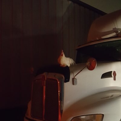 Scott Nance - Twitter Profile Picture of Scott Nance (@Jukebox4Jesus) on Twitter