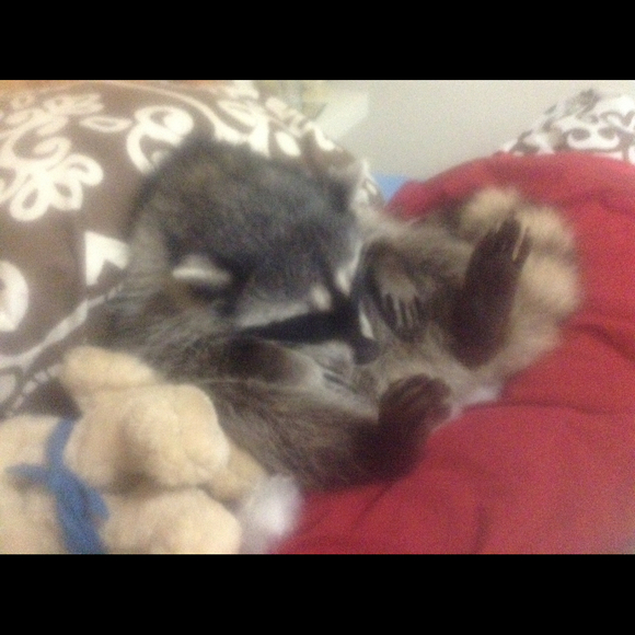 Profile Picture of Vicki Allen (@vickiwicki2002) on Poshmark