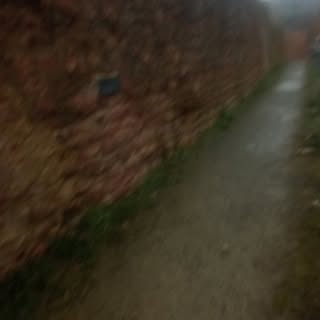 Profile Picture of Jason Reissig (@jasonreissig) on Instagram