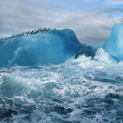 Profile Picture of Kathy Walters (@kathywalters380) on Twitter