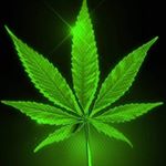 Profile Picture of 🇪🇸 Hip Hop 🇺🇸 Reggae ❤💛💚 (@sheilaraperilla) on Instagram